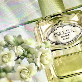 Infusion d'Iris (Eau de Parfum) (2007) - Prada