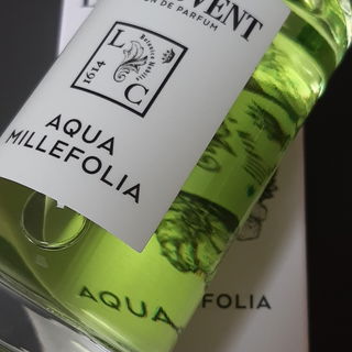 Santal Volcanique - Maison Crivelli