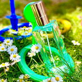 Echt schräg...hallo ihr Gänseblümchen (von Kate130)