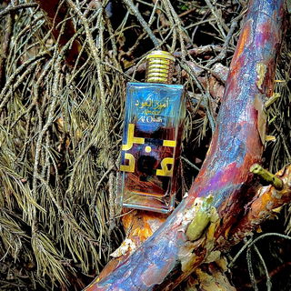 Ameer Al Oudh Intense Oud - Lattafa / لطافة