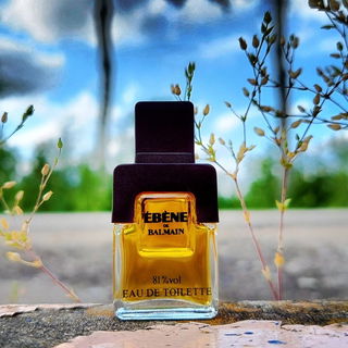 Ébène soeben auf ebener Ebene