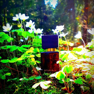 Und auch hier meinen herzlichsten Dank in die Runde fürs Vorbeischauen, Kommentieren und Auszeichnen. Ihr seid toll!