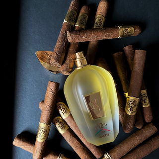 The One Royal Night - Dolce & Gabbana