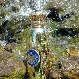kommt Alle gut durch die Hitze 🚿⛲🌊🏊