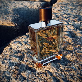 Terre d'Hermès Eau Intense Vétiver - Hermès