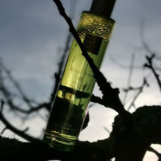 The Ritual of Dao / Yin - Organic White Lotus & Yi Yi Ren - Rituals