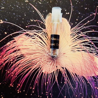 Idole de Lubin (Eau de Toilette) - Lubin