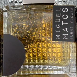 Burnt Flower - Miguel Matos