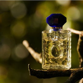 Salvador (1992) (Eau de Toilette) - Salvador Dali