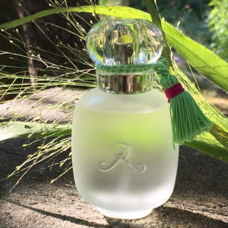 Un Zest de Rose - Les Parfums de Rosine