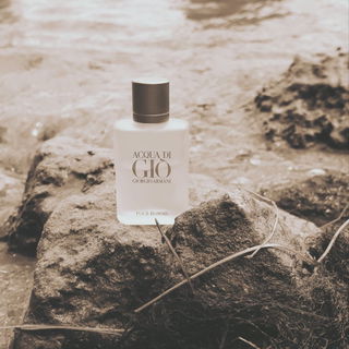 Acqua di Giò pour Homme (Eau de Toilette) - Giorgio Armani