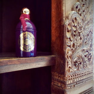 Ambre Éternel - Guerlain