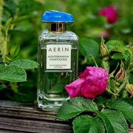 ***Frisch im Rosentau - Geißblatt & Co. fühlen sich sehr wohl in Gesellschaft nordischer Heckenrosen. Herzlichen Dank für Euren Besuch und die lieben Worte 🌞😎😊***