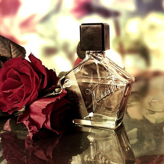 PHI - Une Rose de Kandahar / Collectible PHI - Une Rose de Kandahar - Tauer Perfumes