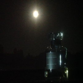 Nightscape - Ulrich Lang