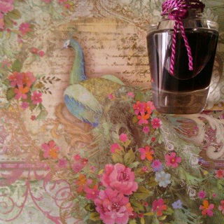 Secrets d'Essences - Rose Absolue Le Parfum by Yves Rocher