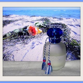 Une Rose au Bord de la Mer - Les Parfums de Rosine