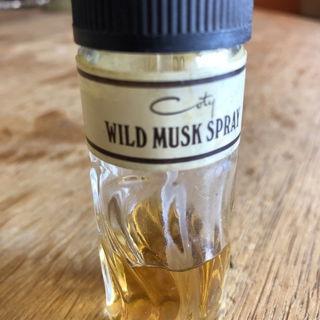Wild Musk by Coty