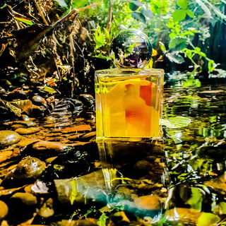 Kafka on the Shore - Folie à Plusieurs