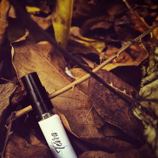 Terra by Aller Perfumes