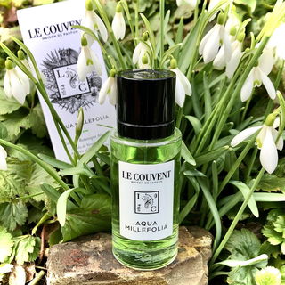 Aqua Millefolia von Le Couvent