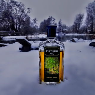Russian Forest / Русский лес - Nóvaya Zaryá