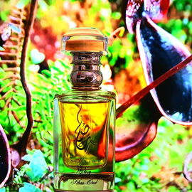 Khas Oud - Khas Oud & Perfumes / خاص للعود والعطور
