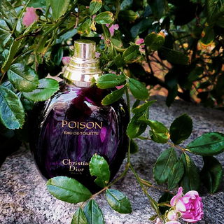 Poison (Eau de Toilette) von Dior