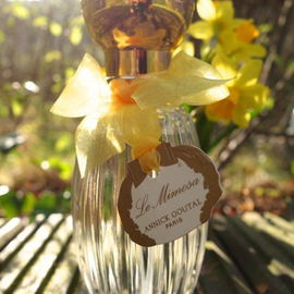 Le Mimosa - Goutal