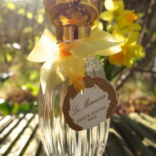 Le Mimosa - Goutal
