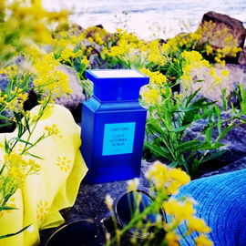 Tag am Meer mit Costa