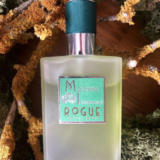 Mousse Illuminée by Rogue