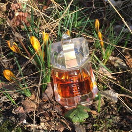 Alien - Le Goût du Parfum - Mugler