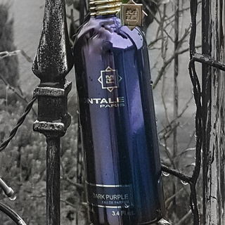 Dark Purple / Black Purple - Montale