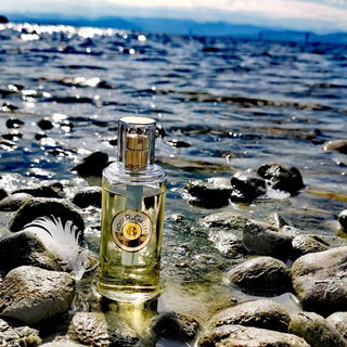 *Bodenseeimpression 1* Lieblingsplatz der Schwäne 🦢 Vielen lieben Dank für Eure Besuche und Anmerkungen, ich freue mich sehr! 🤗💜