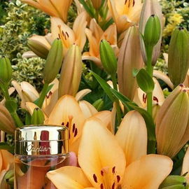 Baiser Volé (Essence de Parfum) - Cartier