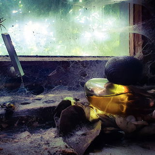 Tendre Est La Nuit - obscur - Majda Bekkali