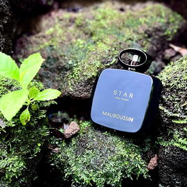 …📷🌍 Thank you. Danke schön. Merci beaucoup. Muchas gracias. Dōmo arigatō gozaimasu 💐…