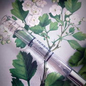 Danke sehr für eure lieben Statements 💮 (von CharlAmbre)