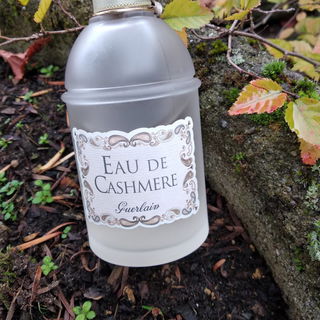 Eau de Cashmere by Guerlain
