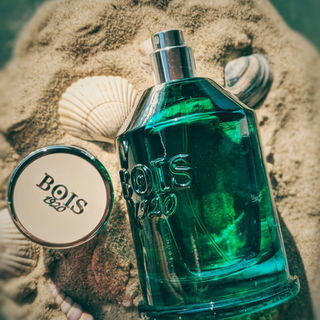 Verde di Mare von Bois 1920