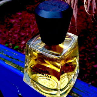 Terre de Sarment - Frapin