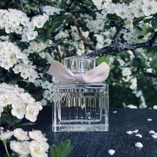 Chloé (2007) (Eau de Parfum) von Chloé