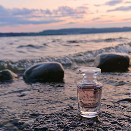 Die Abenddämmerung legt sich über den See und taucht alles in ein zartes rosa Licht