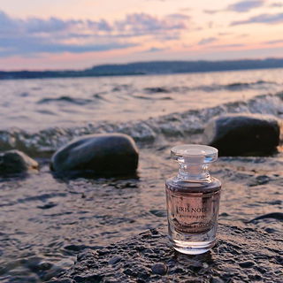 Die Abenddämmerung legt sich über den See und taucht alles in ein zartes rosa Licht