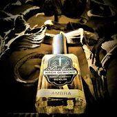 Die Gewölbe von Kardinal Lehmann (von Floyd)