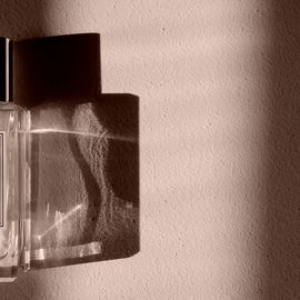 English Oak & Hazelnut - Jo Malone
