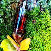 Danke für's Vorbeischauen 💚🍀 (by DorisKa)