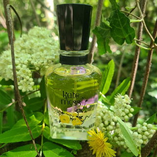 Summer Time von Kate Moss