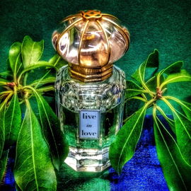 Live in Love - Oscar de la Renta